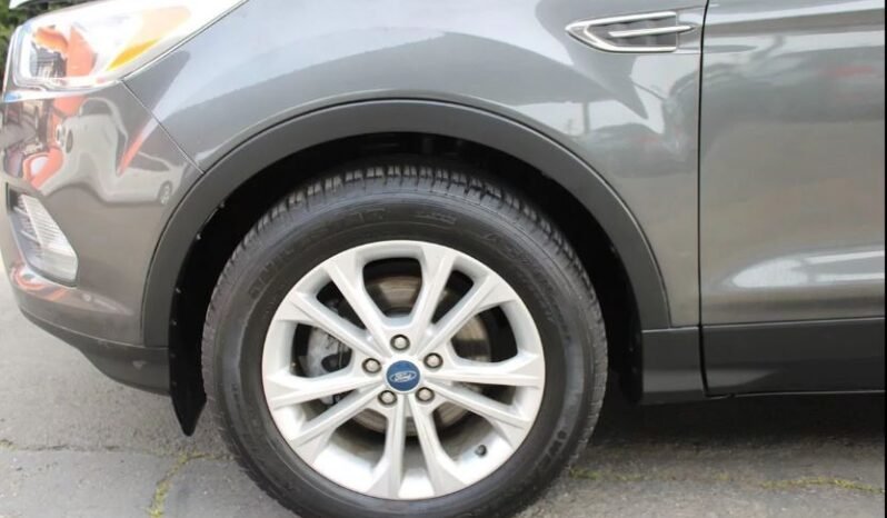 
								Used 2019 Ford Escape full									