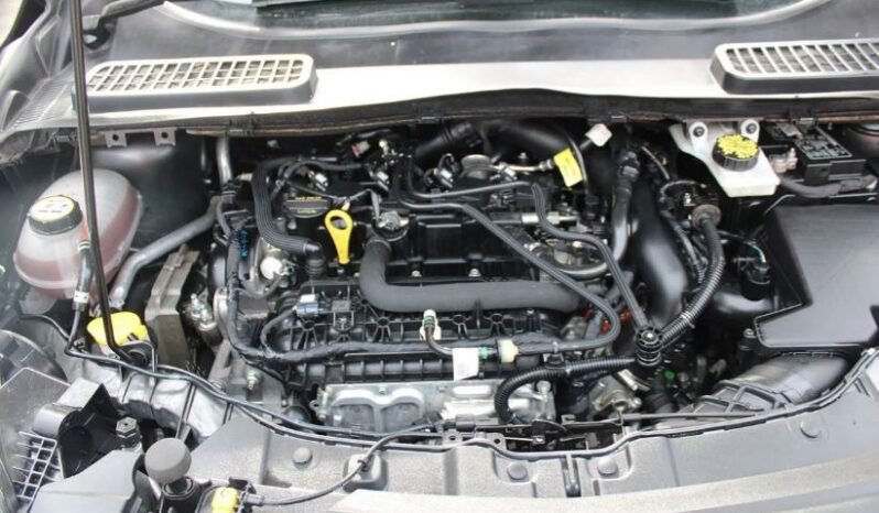 
								Used 2019 Ford Escape full									