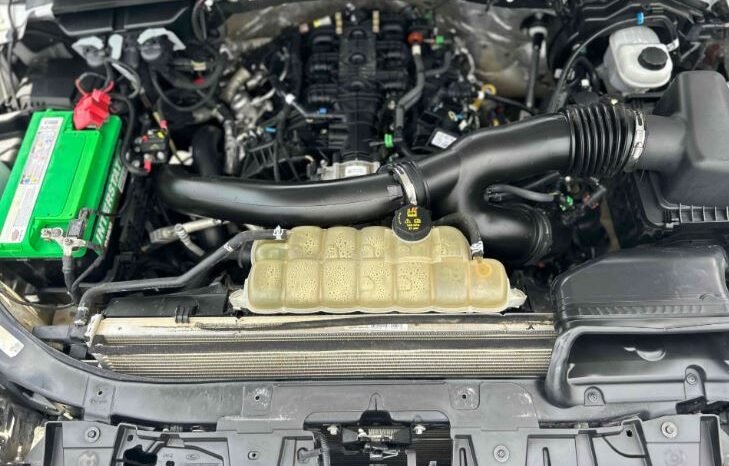 
								Used 2020 Ford Expedition XL full									