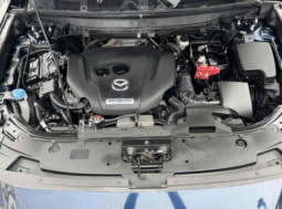 
										2016 Mazda CX-9 Touring full									