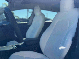 
										2022 Tesla Model 3 full									