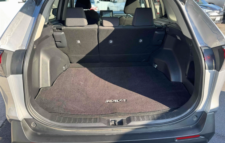 
								2019 Toyota RAV4 LE full									