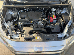 
										2019 Toyota RAV4 LE full									