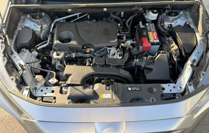 
								2019 Toyota RAV4 LE full									