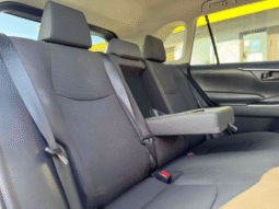 
										2019 Toyota RAV4 LE full									