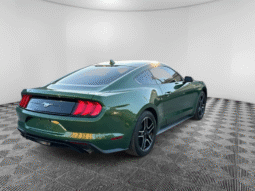 
										2023 Ford Mustang full									
