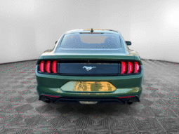 
										2023 Ford Mustang full									