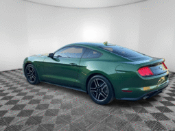 
										2023 Ford Mustang full									