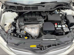 
										2015 Toyota Venza XLE full									